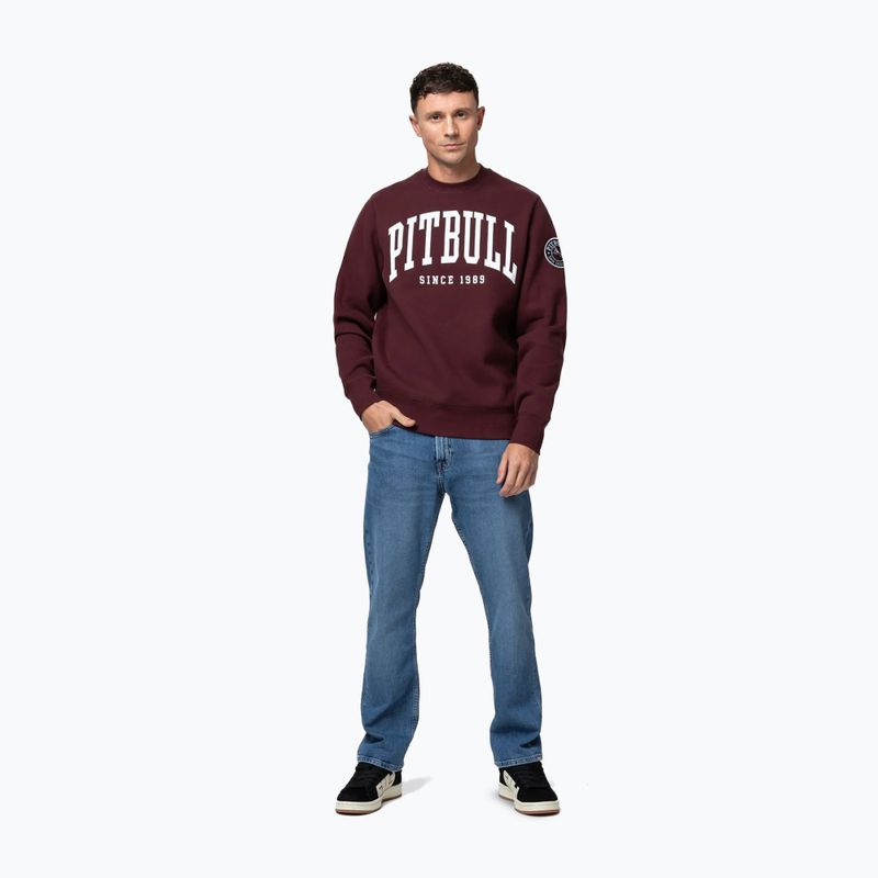 Чоловічий світшот Pitbull Norton Crewneck dark burgundy 2