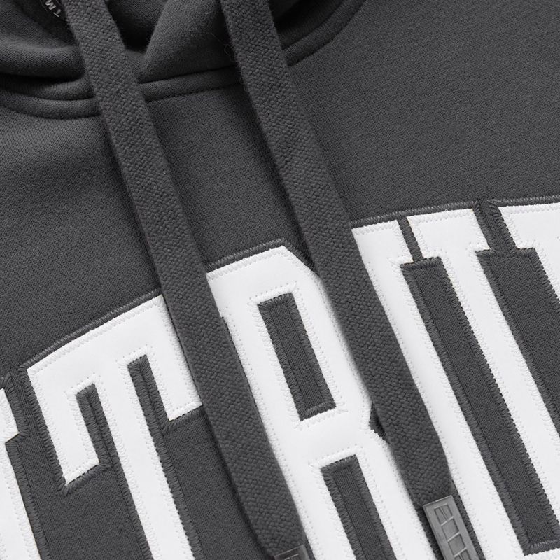Чоловіча худі Pitbull Norton Hooded graphite 6