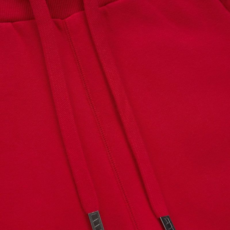 Чоловічі штани Pitbull Small Logo HD Track red 7