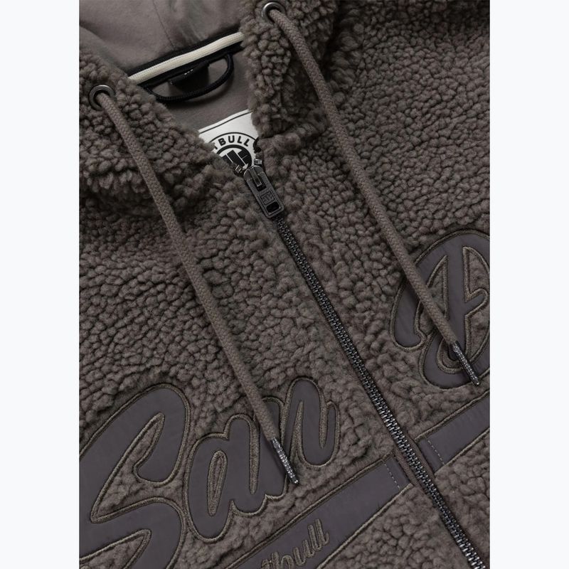 Кофта чоловіча Pitbull Galaxy Hooded Zip taupe 7
