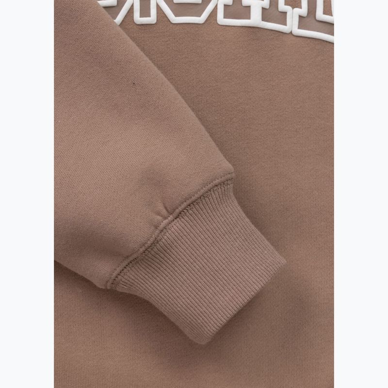 Жіночий світшот Pitbull Crewneck Fiora chocolate mousse 10