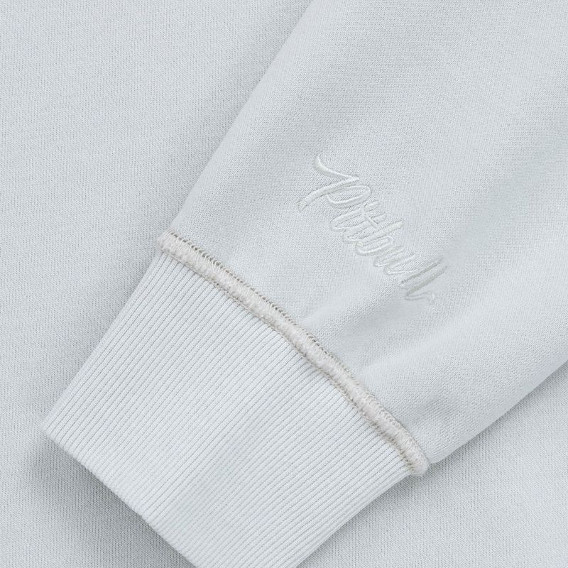 Жіноче худі Pitbull Lovia Hooded white stone 9