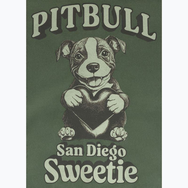 Жіноча худі Pitbull Sweetie з капюшоном на блискавці sage green 10