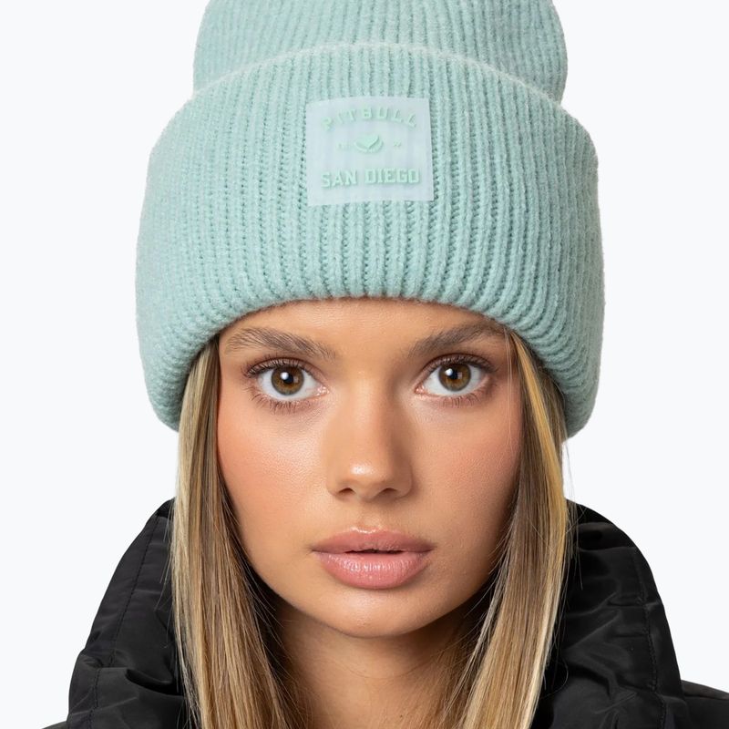 Зимова шапка Pitbull Beanie Love PB light mint 4