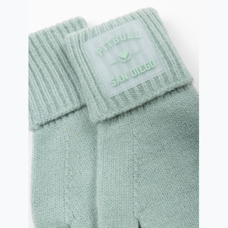 Рукавички Pitbull Love PB light mint 2