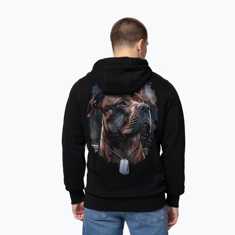 Кофта чоловіча Pitbull Hero Hooded black 2