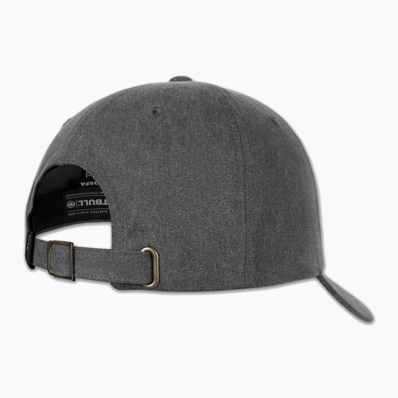 Кепка чоловіча Pitbull Classic "Pitbull San Diego" Low Profile grey 2