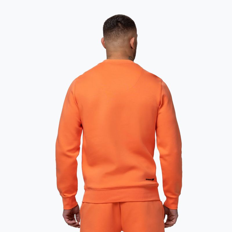 Кофта чоловіча Pitbull Dogwood Crewneck Sweatshirt fluo orange 3