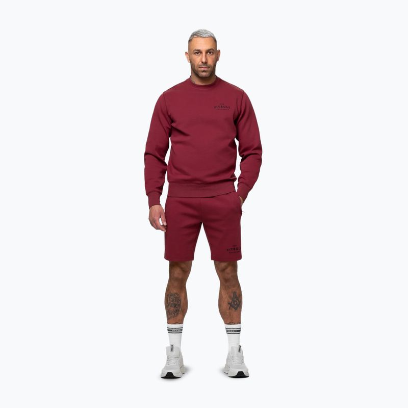 Кофта чоловіча Pitbull Sampson Crewneck Sweatshirt burgundy 2