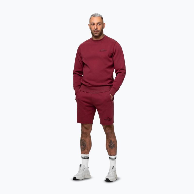 Кофта чоловіча Pitbull Sampson Crewneck Sweatshirt burgundy 4