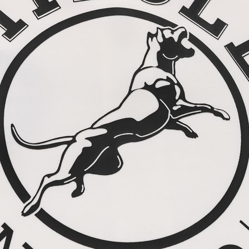 Кофта чоловіча Pitbull Track Jacket San Diego 8