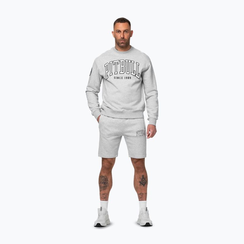 Кофта чоловіча Pitbull Badger Crewneck grey/melange 2