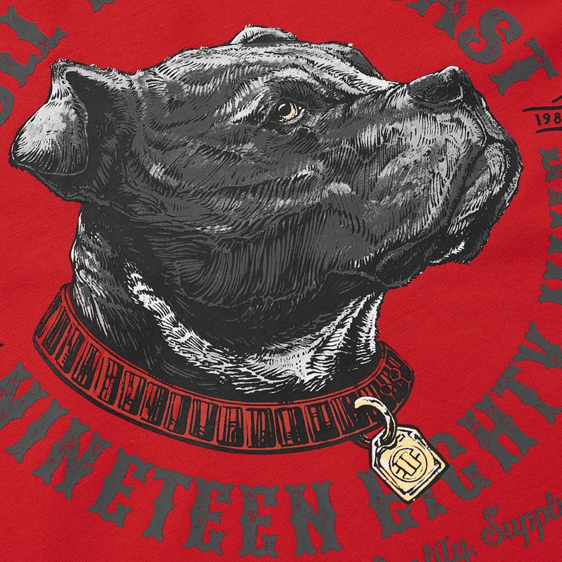 Кофта чоловіча Pitbull Strenght & Respect Sweatshirt Hooded red 9