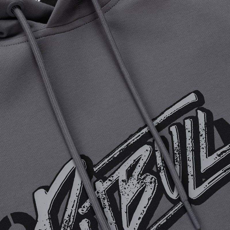 Кофта чоловіча Pitbull MC Sweatshirt Hooded graphite 7