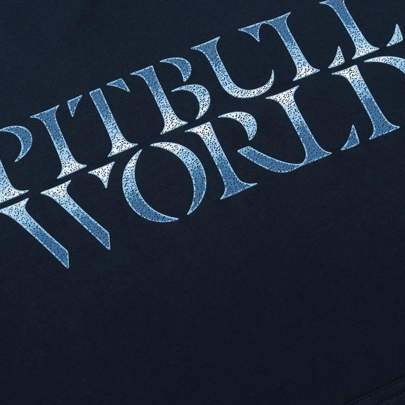 Кофта чоловіча Pitbull World Sweatshirt Hooded dark navy 11