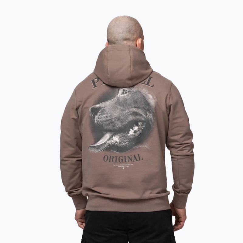 Кофта чоловіча Pitbull Midnight Sweatshirt Hooded brown savana 3