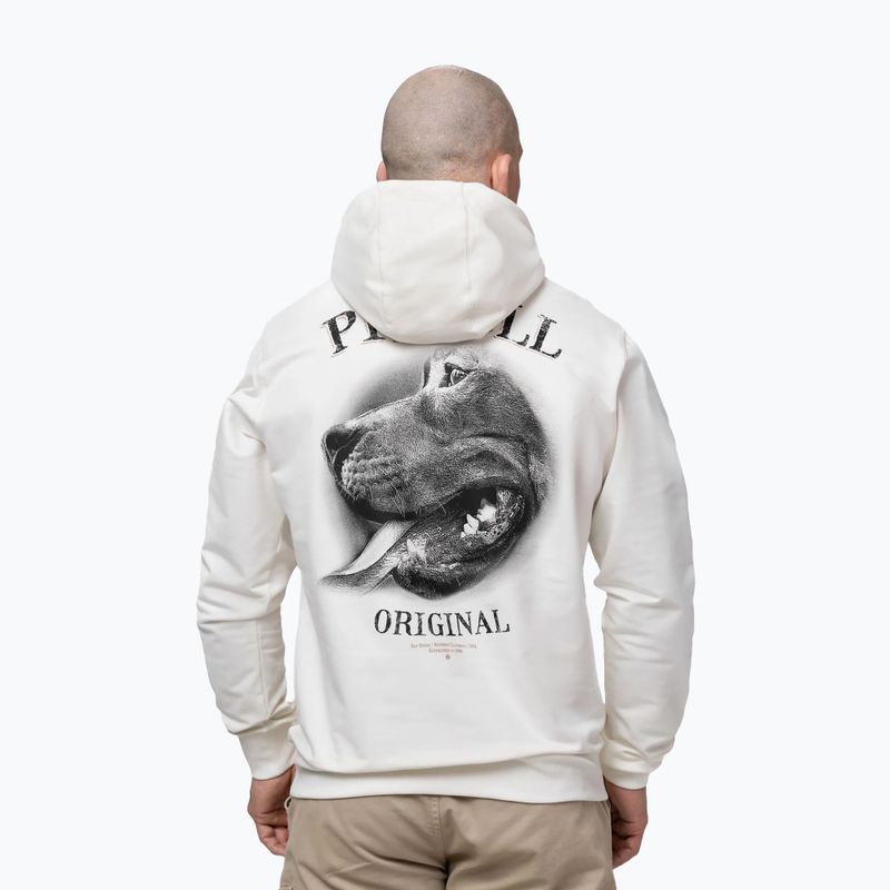 Кофта чоловіча Pitbull Midnight Sweatshirt Hooded off white 3