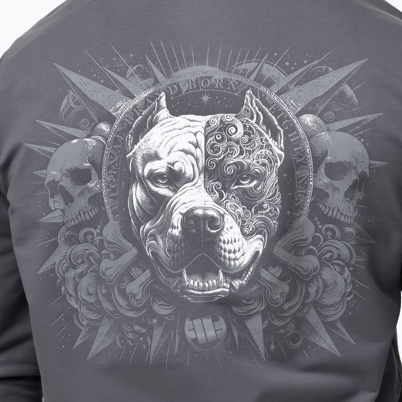 Кофта чоловіча Pitbull World Sweatshirt Zip Hooded graphite 5