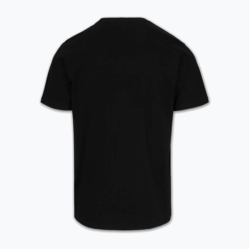 Футболка чоловіча Pitbull USA CAL Big Logo black 5