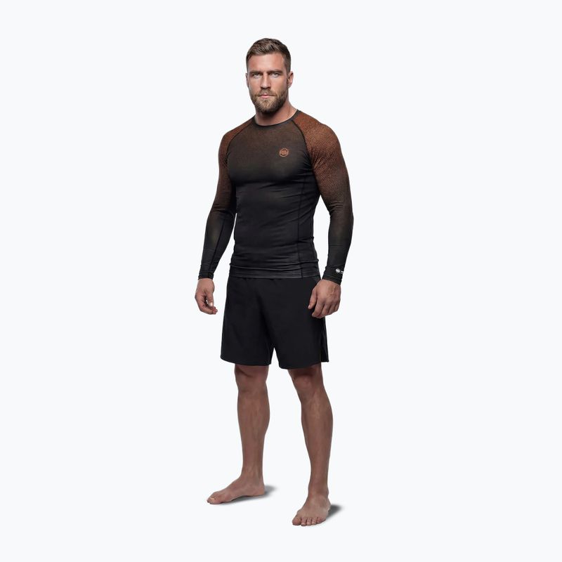 Чоловіча рашгард з довгим рукавом Pitbull Belt Rashguard brown 2