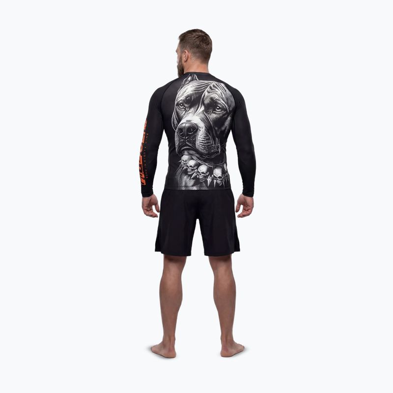 Чоловіча рашгард з довгим рукавом Pitbull Blacky Rashguard 3