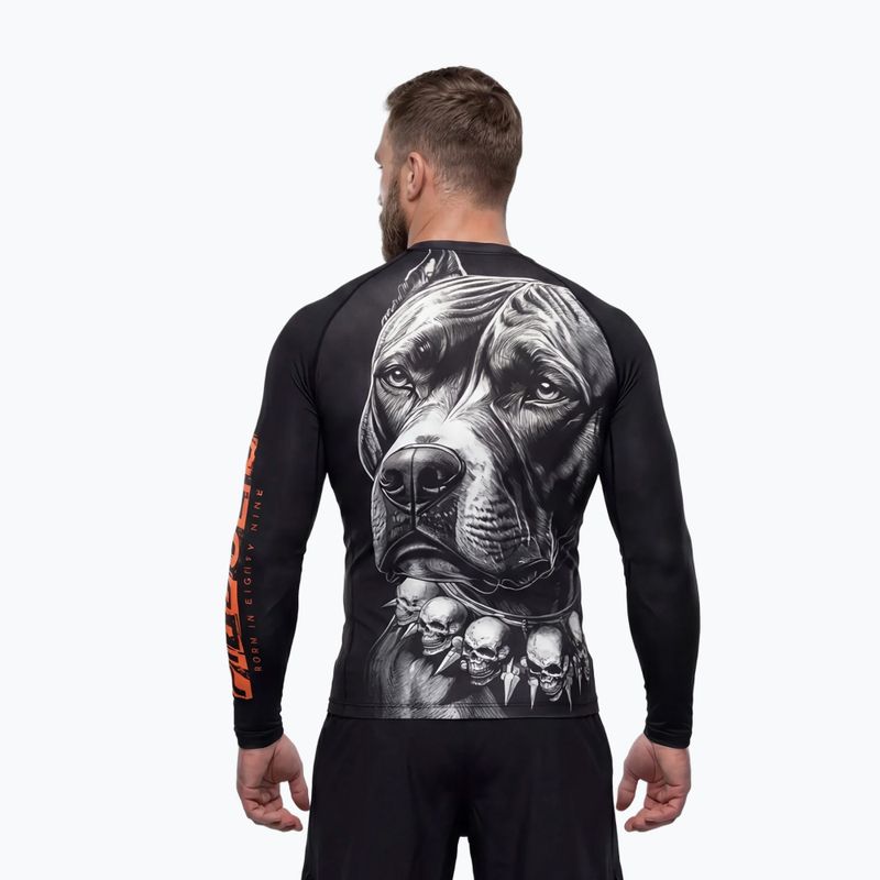 Чоловіча рашгард з довгим рукавом Pitbull Blacky Rashguard 4