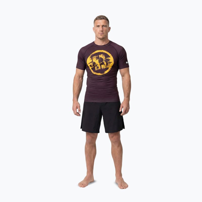 Футболка чоловіча Pitbull Rashguard Logo Palms brown 2