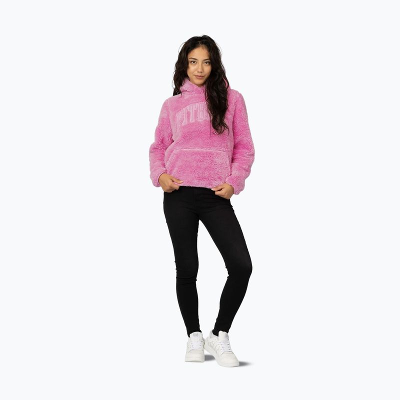 Кофта жіноча Pitbull Aragona Norton Hooded dark chocolate 2