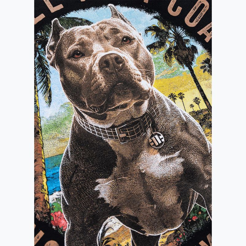 Футболка жіноча Pitbull Beach Girl black 11