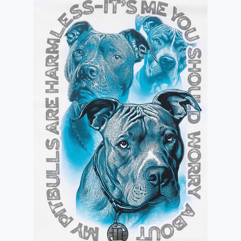 Футболка чоловіча Pitbull Protector white 11