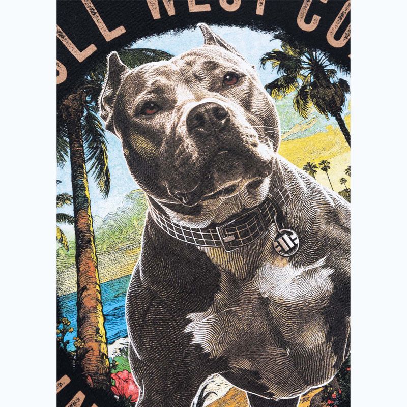 Футболка чоловіча Pitbull Beach Boy black 11