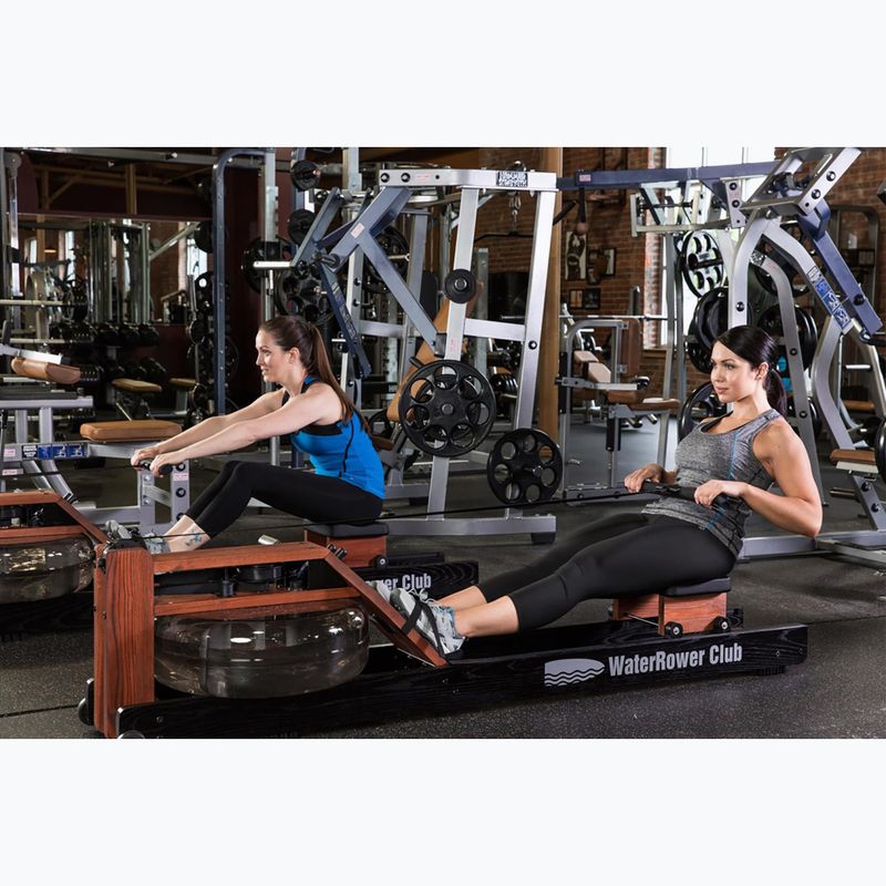 Гребний тренажер WaterRower Performance SR Club ясень 14