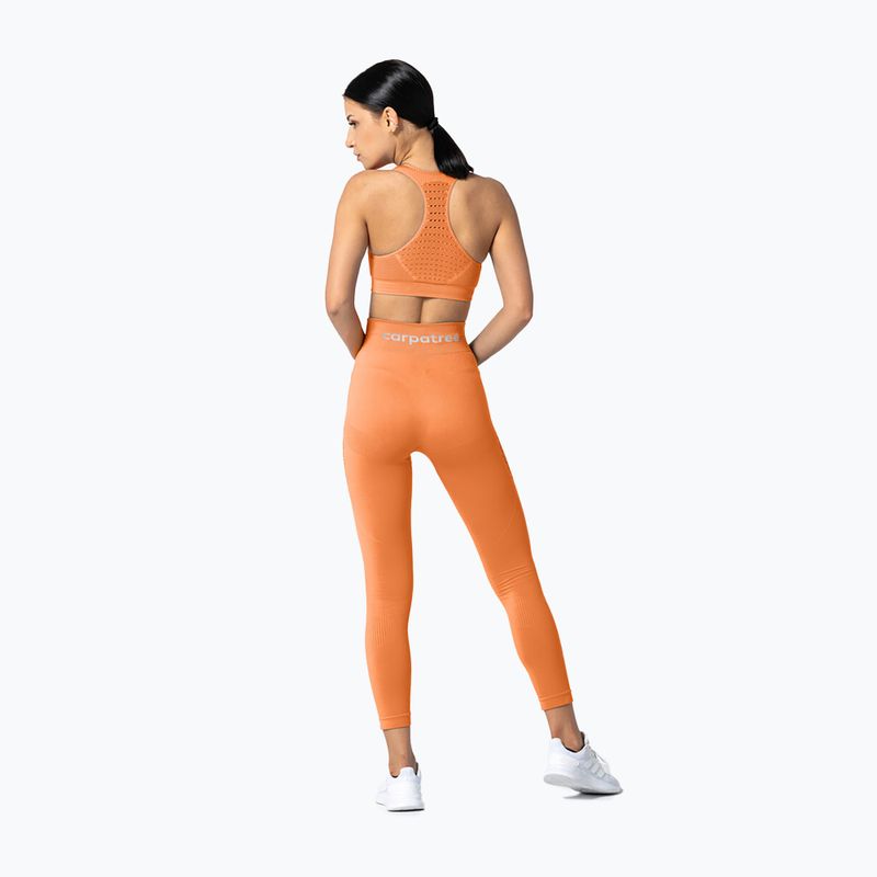 Легінси жіночі Carpatree Phase Seamless peach 5