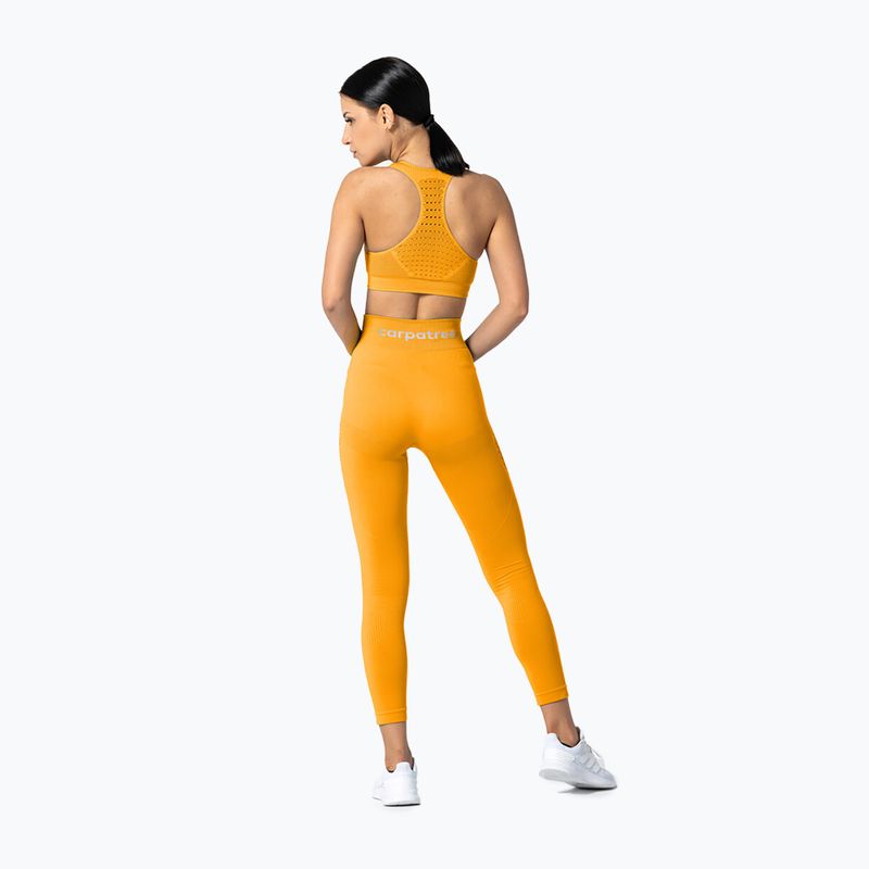 Легінси жіночі Carpatree Phase Seamless golden yellow 5