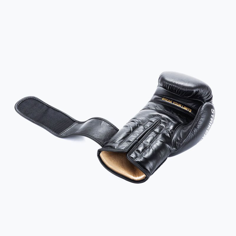 Рукавиці боксерські DBX BUSHIDO "Striker" чорний 9