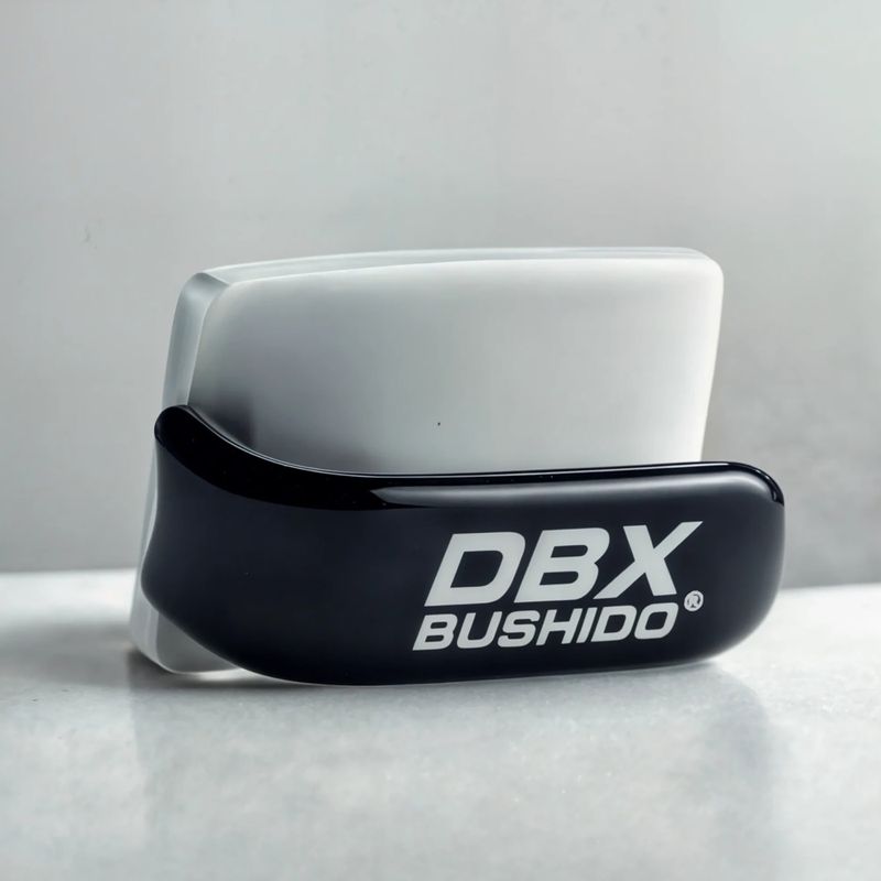 Праска боксерська DBX BUSHIDO Ferro black/silver 5