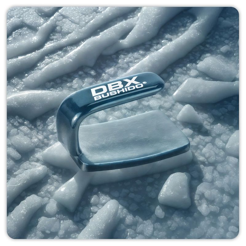 Праска боксерська DBX BUSHIDO Ferro black/silver 7