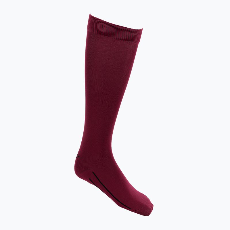 Гольфи для верхової їзди жіночі FERA Equestrian Basic burgundy