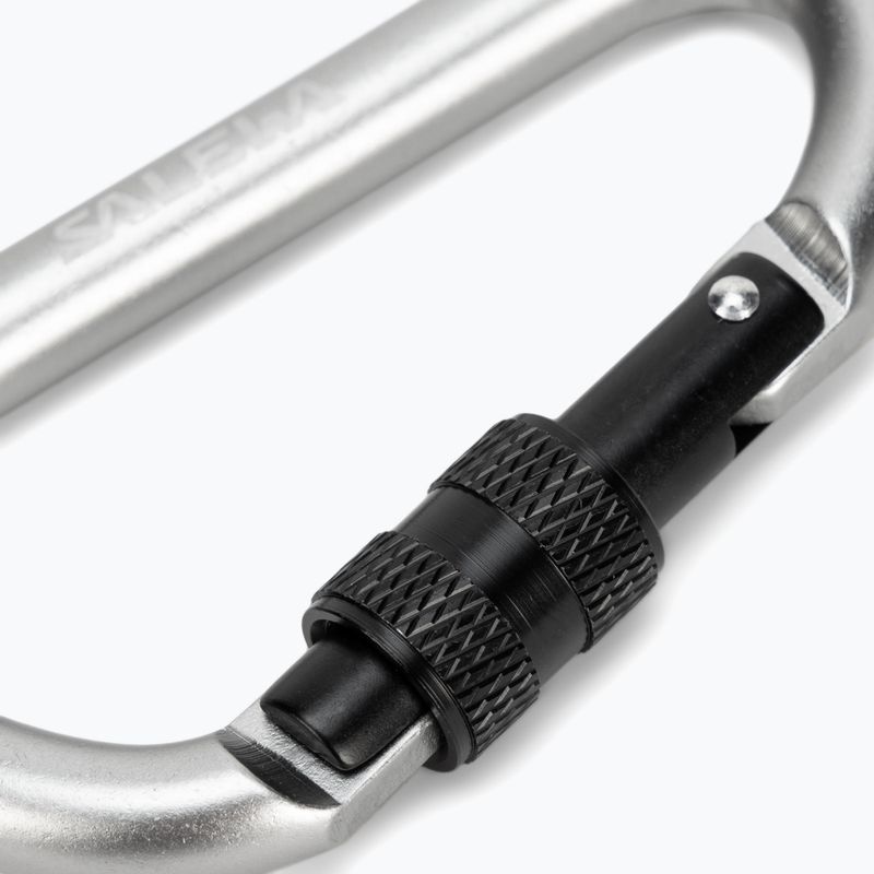 Карабін Salewa D-Shape Carbiner With Screw сірий 00-0000034102 3