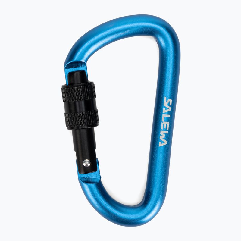 Карабін Salewa D-Shape Carbiner With Screw блакитний 00-0000034102