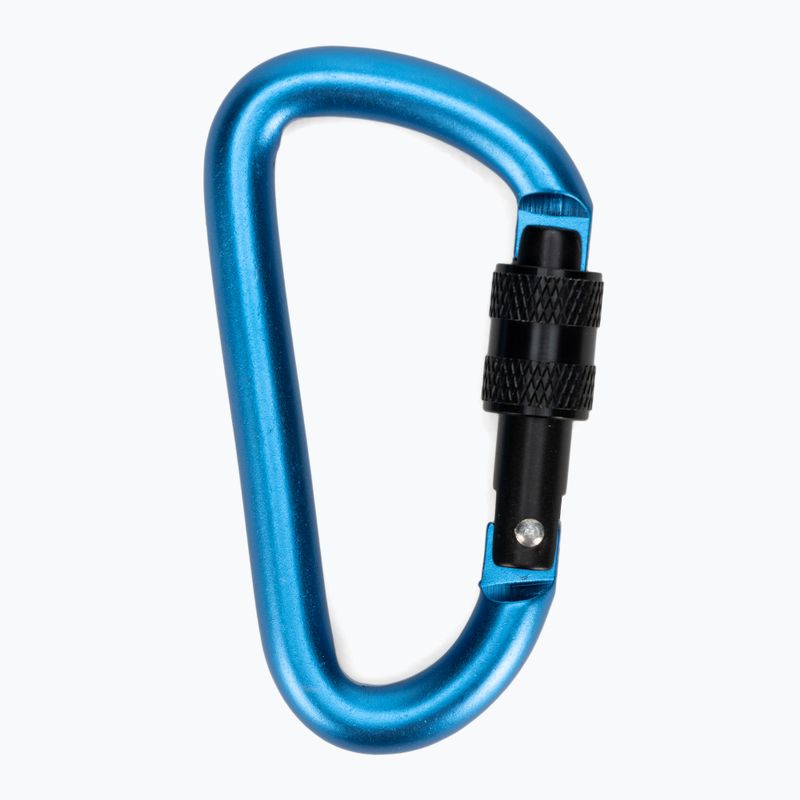 Карабін Salewa D-Shape Carbiner With Screw блакитний 00-0000034102 2