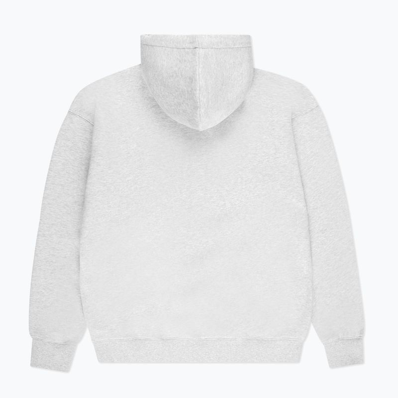 Кофта чоловіча PROSTO Pro Hoodie gray 2