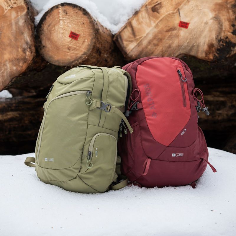 Рюкзак туристичний Alpinus Teide 24 l burgund 3