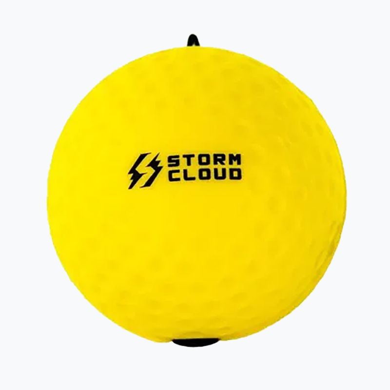 М'ячі рефлексні StormCloud Reflex Ball Duo yellow/black 3