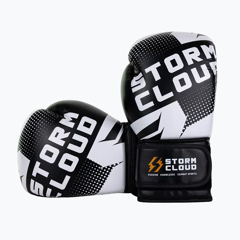 Рукавиці боксерські StormCloud Bolt 3.0 black/white 3