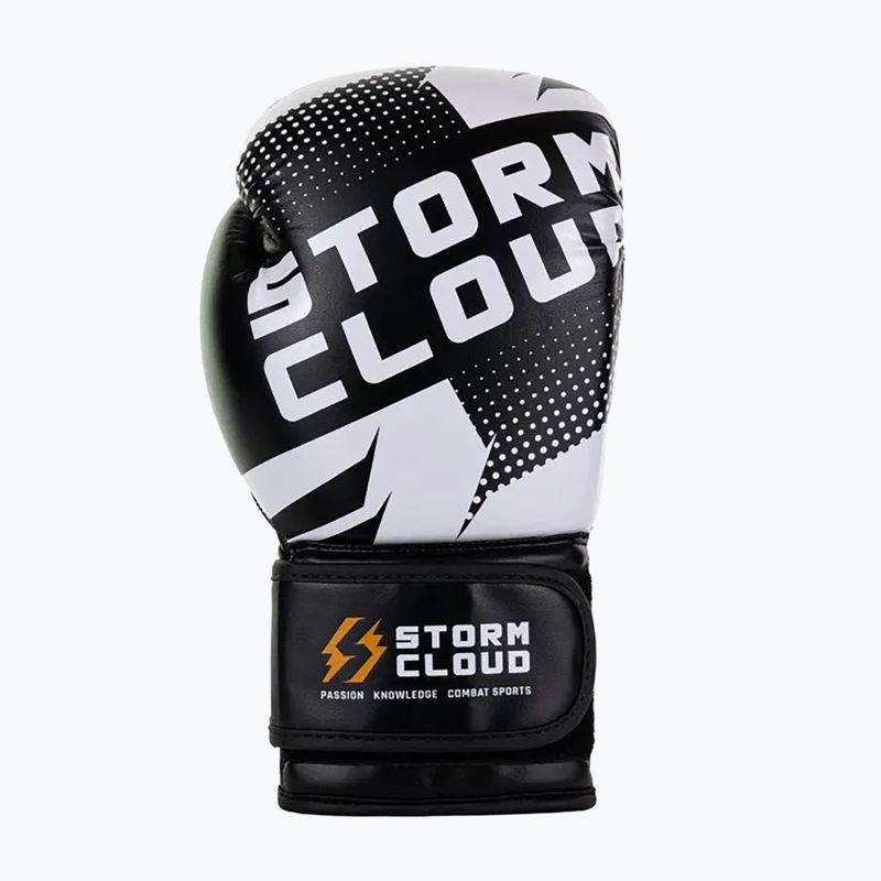 Рукавиці боксерські StormCloud Bolt 3.0 black/white 4