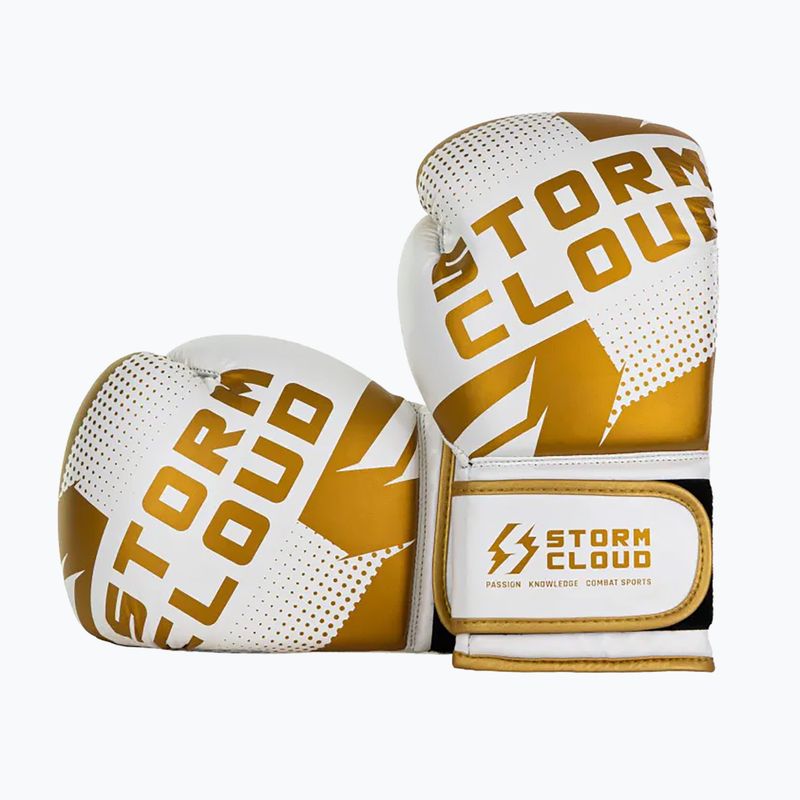 Боксерські рукавиці StormCloud Bolt 3.0 white/gold 3