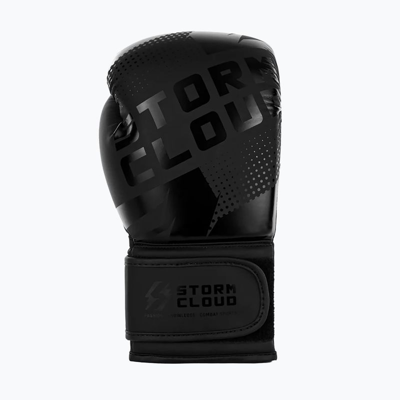 Рукавиці боксерські StormCloud Bolt 3.0 black/black 4