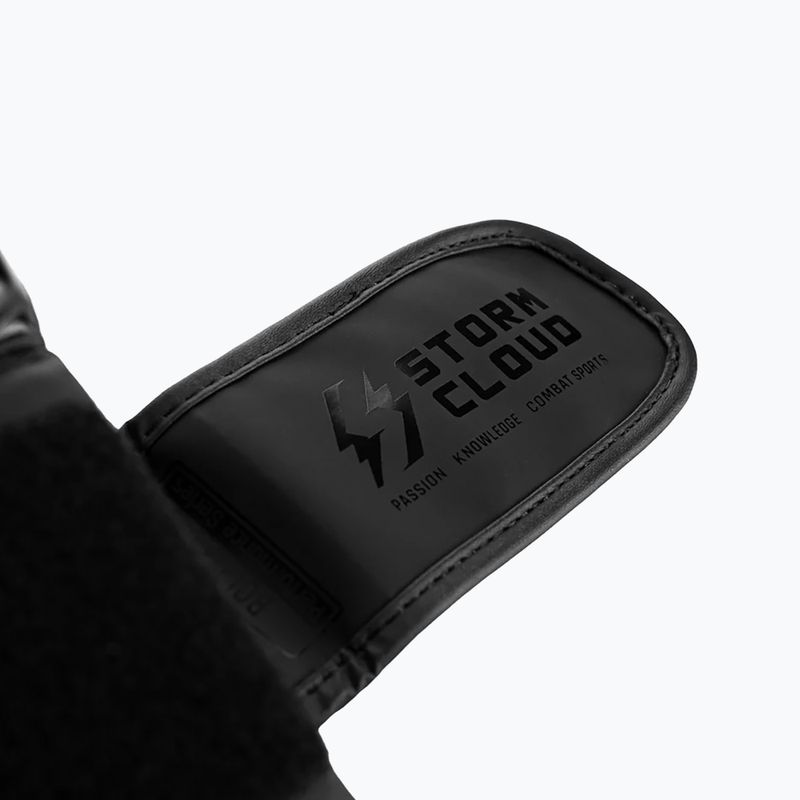 Рукавиці боксерські StormCloud Bolt 3.0 black/black 10