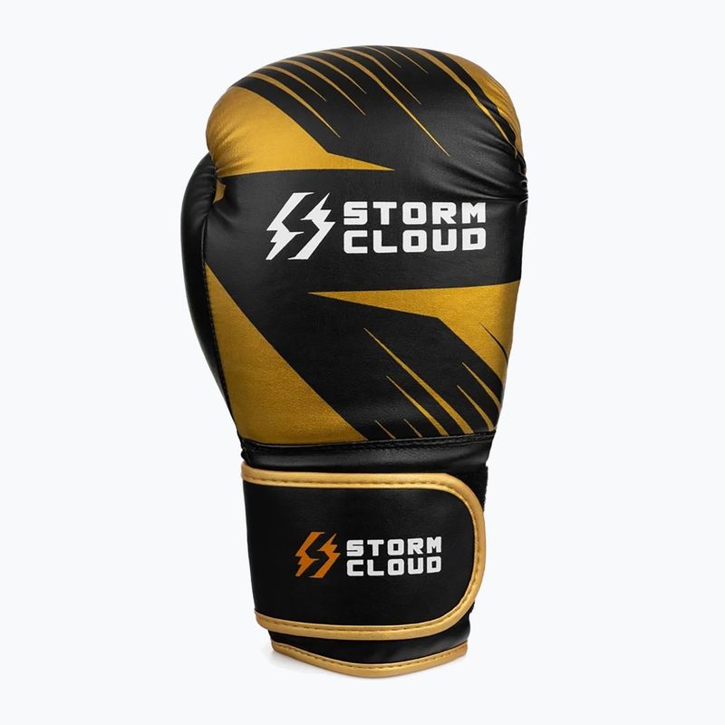 Рукавиці боксерські StormCloud Lynx 2.0 black/gold 4